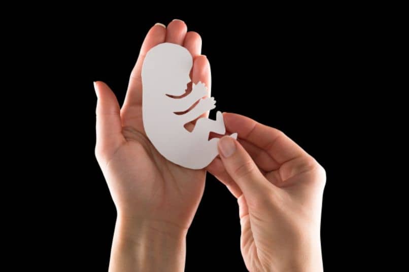 donna in gravidanza embrionale